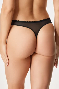 Tanga Anemone